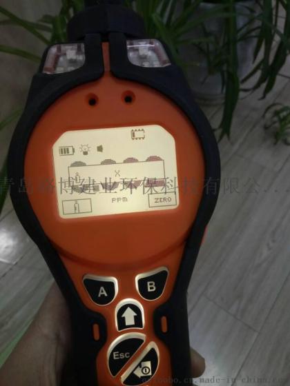 环境苯蒸气检测报警仪TS-0512手持式检测仪